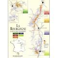 The Bourgogne Wine Region